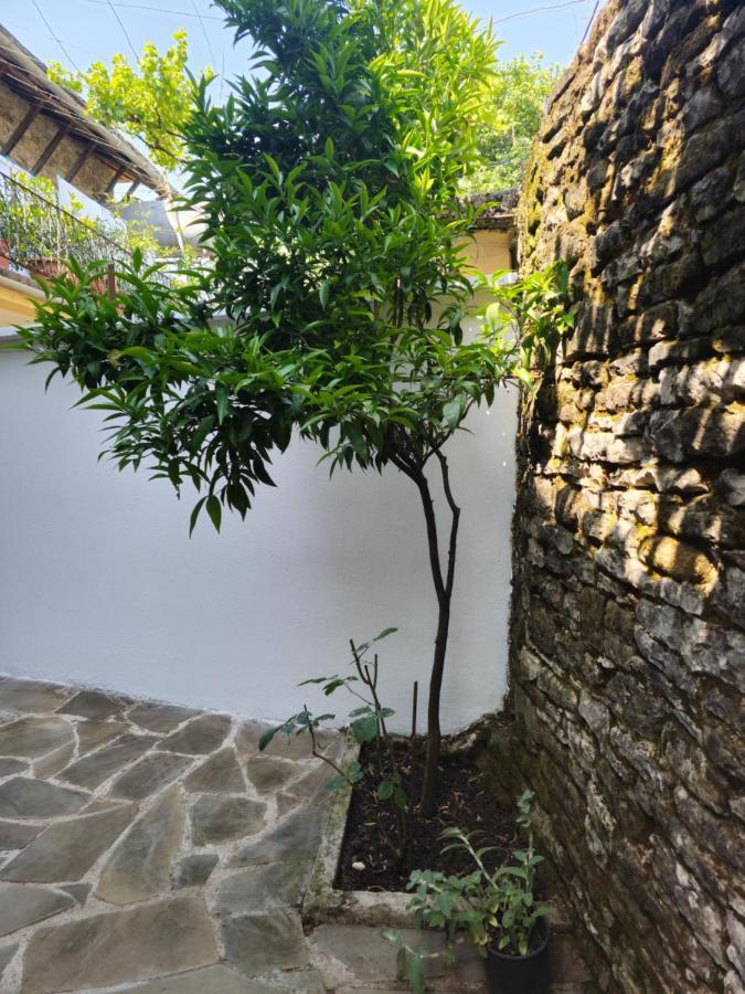 Traditional House Shapllo Gjirokastra Kültér fotó