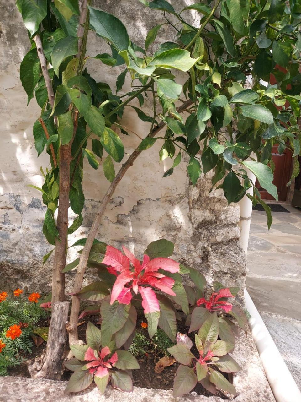 Traditional House Shapllo Gjirokastra Kültér fotó